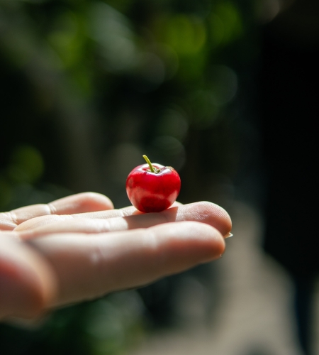 Pictures from Maavah