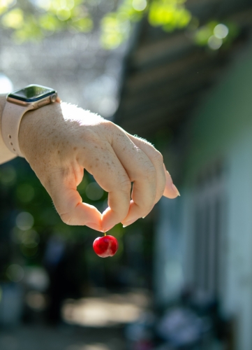 Pictures from Maavah