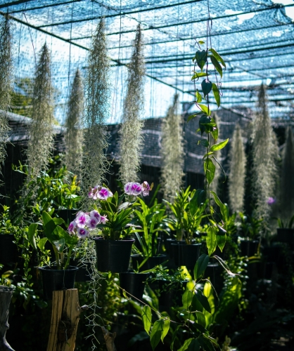 Pictures from Maavah