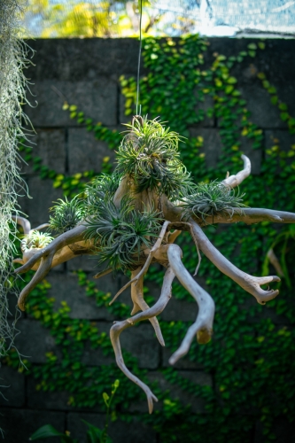 Pictures from Maavah