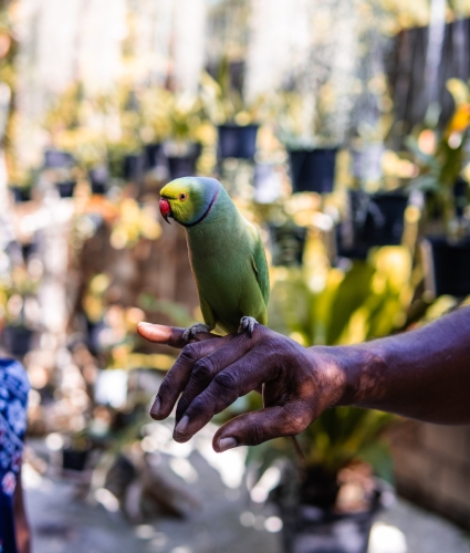 Pictures from Maavah