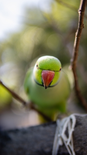 Pictures from Maavah