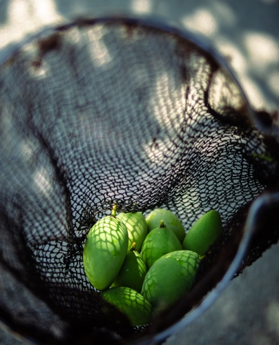 Pictures from Maavah