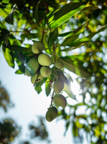 Pictures from Maavah