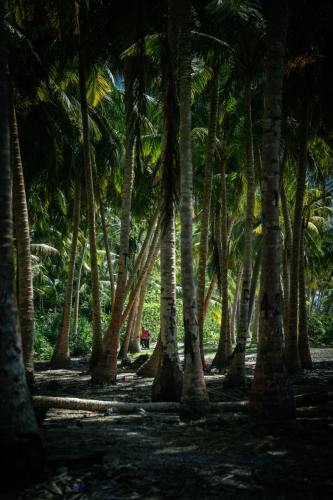 Pictures from Maavah