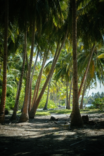 Pictures from Maavah