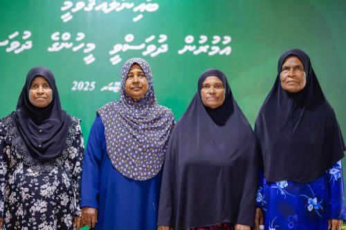 National Seniors Day 2025